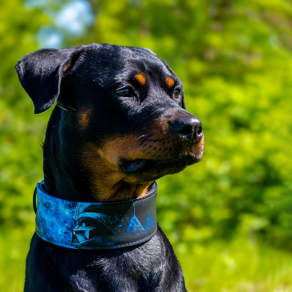 The Vader Limited Collar