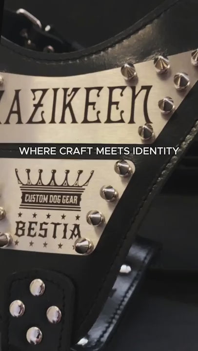 The "Metal" harness- Personalized!